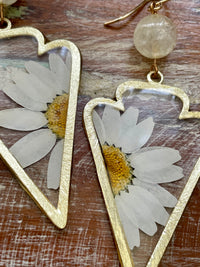 Dried Daisy & Citrine Dangles on Gold Filled Ear Wires