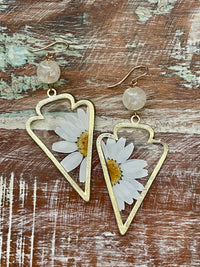 Dried Daisy & Citrine Dangles on Gold Filled Ear Wires